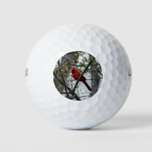 Kardinal Golfball