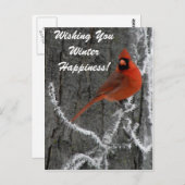 Kardinal Greetings Postkarte (Vorne/Hinten)