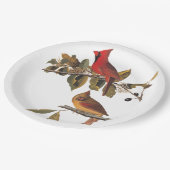 Kardinal Grosbeak Audubon Birds of America Pappteller (Schrägansicht)
