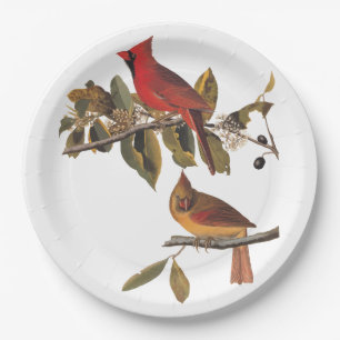 Kardinal Grosbeak Audubon Birds of America Pappteller