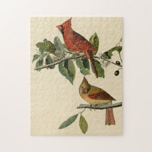 Kardinal Grosbeak von Audubons Vögeln von Amerika Puzzle