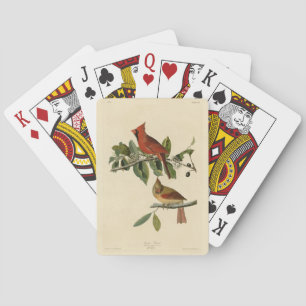 Kardinal Grosbeak von Audubons Vögeln von Amerika Spielkarten