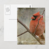 Kardinal Grunge Postkarte (Vorne/Hinten)