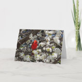 Kardinal-Grußkarte Karte (Vorderseite)