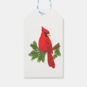 Kardinal hängend tag, bis und von geschenktafel, geschenkanhänger (Rückseite)