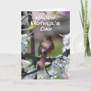 Kardinal Happy Mother Day Card Karte