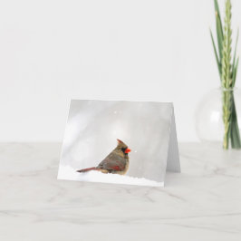 Kardinal-Hinweis/Grußkarte Karte