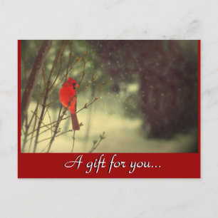 Kardinal Holiday Geschenkgutschein Postkarte