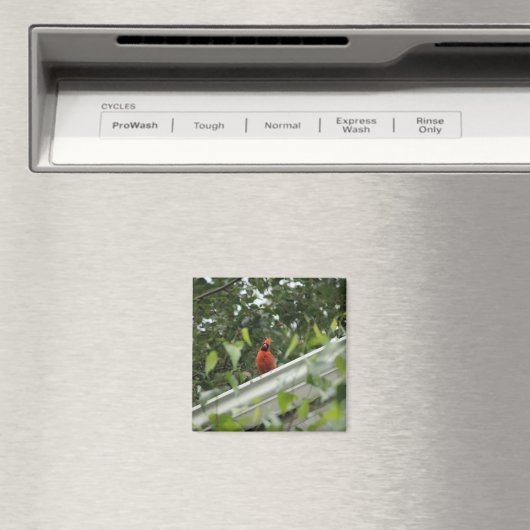 Kardinal hören magnet (In Situ (Geschirrspüler))