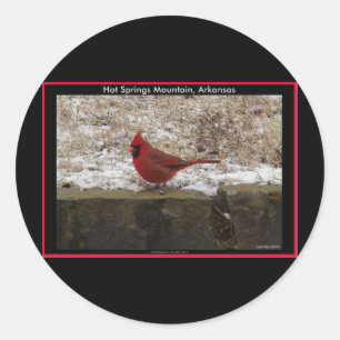 Kardinal Hot Springs Nat. Park Mountain AR Geschen Runder Aufkleber