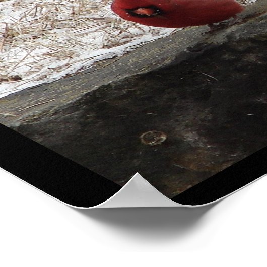 Kardinal Hot Springs Nat. Park Mountain Poster II (Ecke)