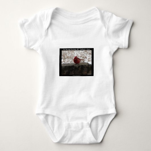 Kardinal Hot Springs Nat. Park Mt AR Geschenke App Baby Strampler (Vorderseite)