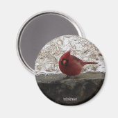 Kardinal Hot Springs Nat. Park Mt AR Geschenke App Magnet (Vorderseite/Rückseite)