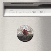 Kardinal Hot Springs Nat. Park Mt AR Geschenke App Magnet (In Situ (Geschirrspüler))