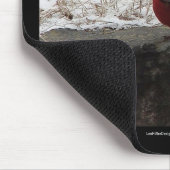 Kardinal Hot Springs Nat. Park Mt AR Geschenke App Mousepad (Ecke)