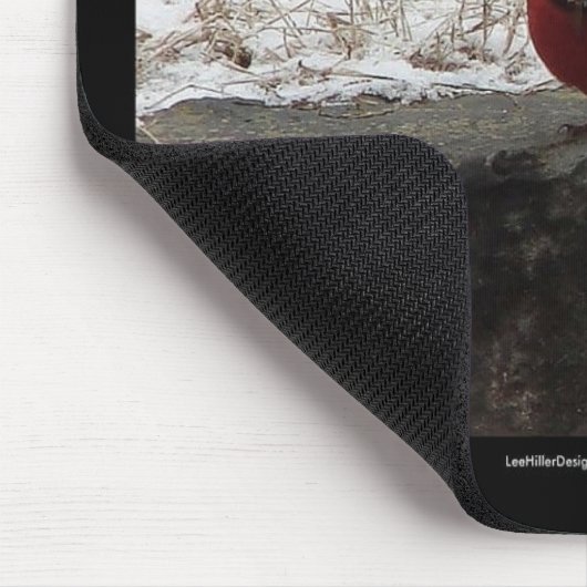 Kardinal Hot Springs Nat. Park Mt AR Geschenke App Mousepad (Ecke)