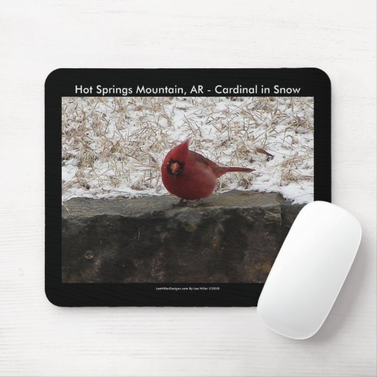 Kardinal Hot Springs Nat. Park Mt AR Geschenke App Mousepad (Mit Mouse)