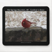 Kardinal Hot Springs Nat. Park Mt AR Geschenke App Mousepad (Vorne)