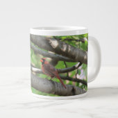 Kardinal im Baum, mit Zitat von John Muir Jumbo-Tasse (Vorderseite Rechts)