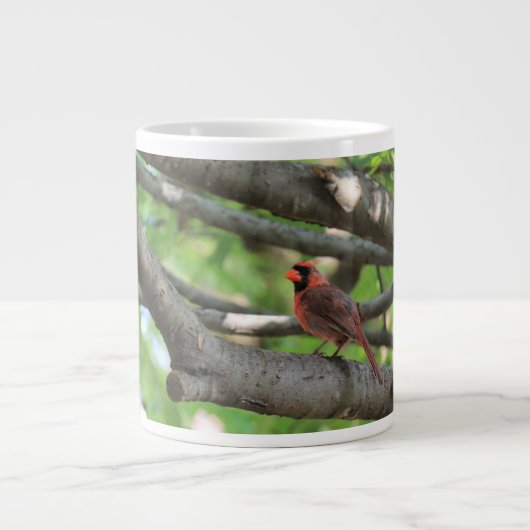 Kardinal im Baum, mit Zitat von John Muir Jumbo-Tasse (Vorderseite)