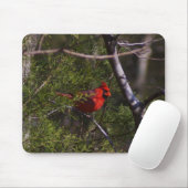 Kardinal im Baum Mousepad (Mit Mouse)