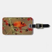 Kardinal im Norden, IL Gepäckanhänger (Vorderseite horizontal)