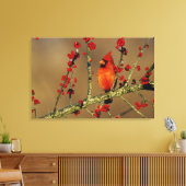 Kardinal im Norden, IL Leinwanddruck (Insitu (Wohnzimmer))