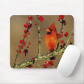 Kardinal im Norden, IL Mousepad (Mit Mouse)