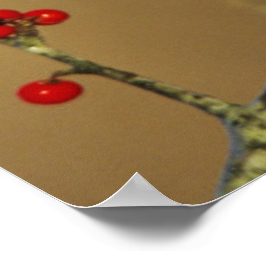 Kardinal im Norden, IL Poster (Ecke)