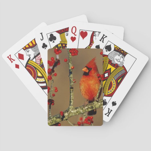 Kardinal im Norden, IL Spielkarten (Rückseite)