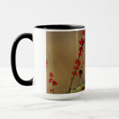 Kardinal im Norden, IL Tasse (Links)