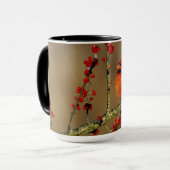 Kardinal im Norden, IL Tasse (Vorderseite Links)