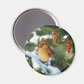 Kardinal im Norden, Illinois Magnet (Vorderseite/Rückseite)