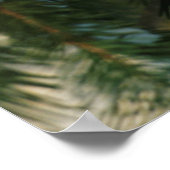 Kardinal im Norden, Illinois Poster (Ecke)