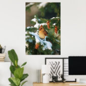 Kardinal im Norden, Illinois Poster (Heimbüro)