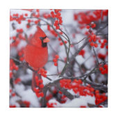 Kardinal im Norden, Winter, IL Fliese (Vorderseite)