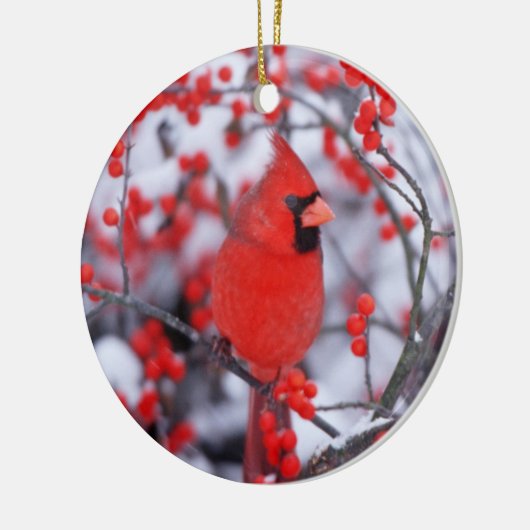 Kardinal im Norden, Winter, IL Keramikornament (Links)