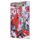 Kardinal im Norden, Winter, IL Klemmbrett (Links)