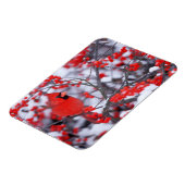 Kardinal im Norden, Winter, IL Magnet (Linke Seite)