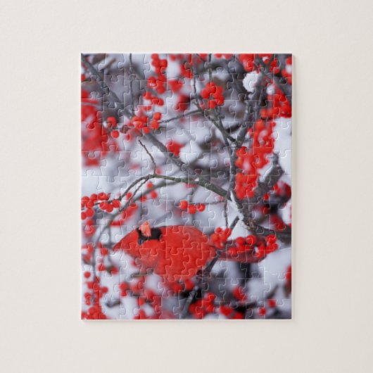 Kardinal im Norden, Winter, IL Puzzle (Vertikal)