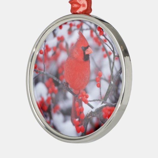 Kardinal im Norden, Winter, IL Silbernes Ornament (Links)