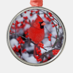 Kardinal im Norden, Winter, IL Silbernes Ornament