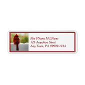 Kardinal im Schnee (Vorne)