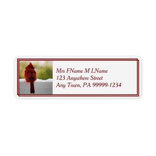 Kardinal im Schnee (Vorne)