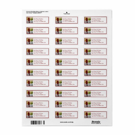 Kardinal im Schnee (Vorne)