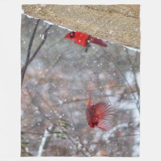 Kardinal im Schnee Fleecedecke (Vorderseite)