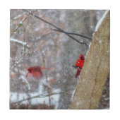 Kardinal im Schnee Fliese (Vorderseite)