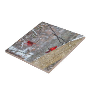 Kardinal im Schnee Fliese