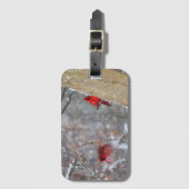Kardinal im Schnee Gepäckanhänger (Vorderseite Vertikal)