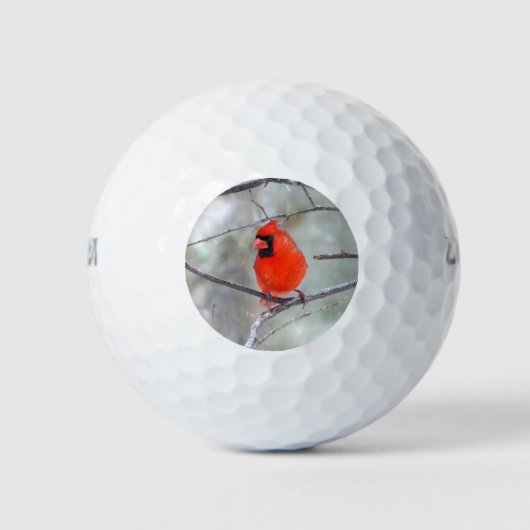 Kardinal im Schnee Golfball (Vorderseite)